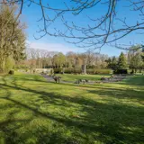 Strooiveld Enschede Het Sonneveld En De Taxus 